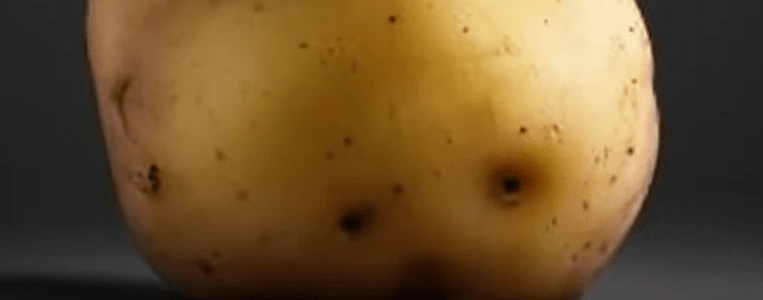 A close up picture of potato skin with eyes.