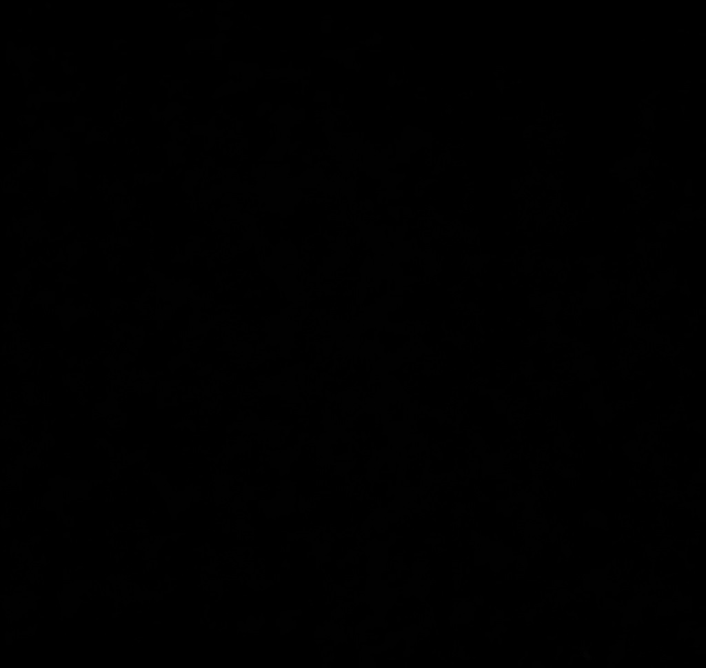 A picture of darkness