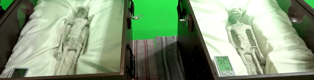 A picture of alien mummified bodies